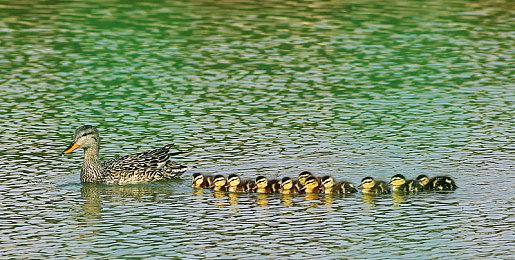 《猛鬼大廈》Steam页面正式发售 国区原价28元